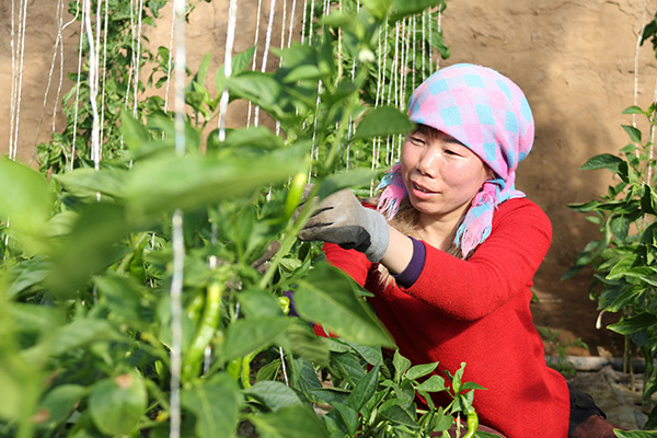 225գʡػĪռұũӢй߲ˡ