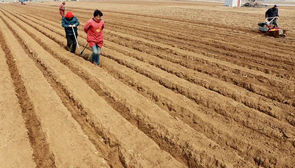 225գɽʡ޳пׯũ俪׼ֲ