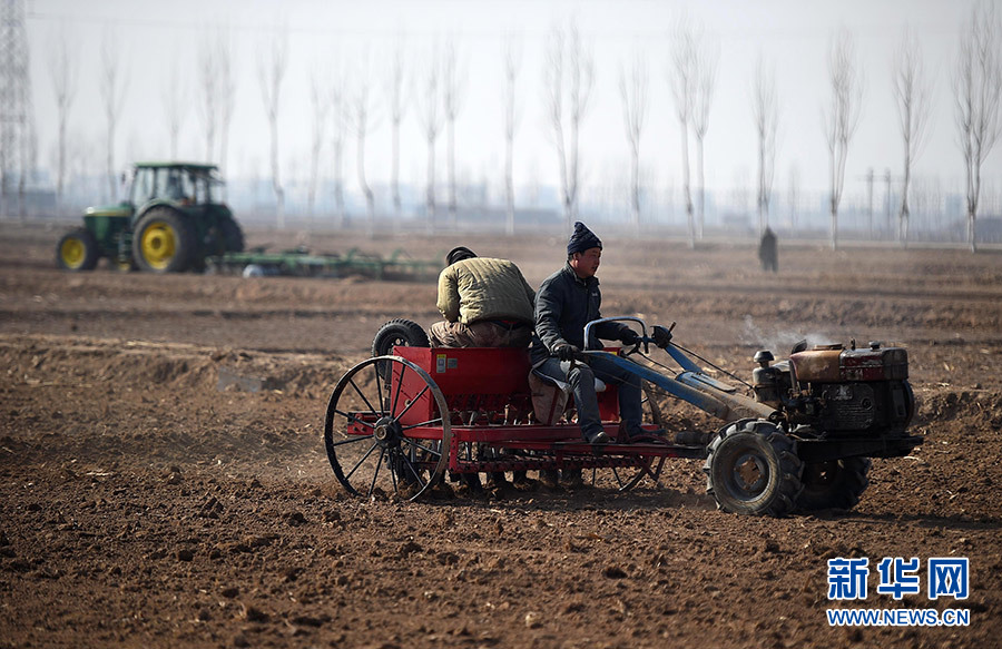 2月29日,在宁夏银川市永宁县杨和镇春播现场会上,农户在田间播种春小麦。