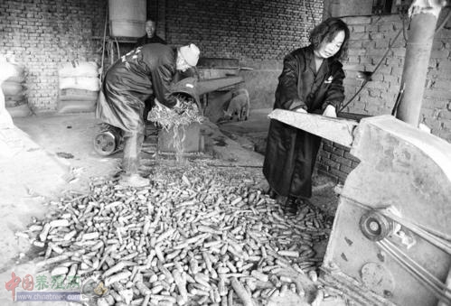 养羊路上困难重重 她还是越养越多