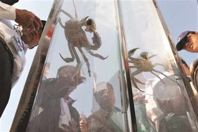 为全国探路,洪泽聚力推进“小水改”