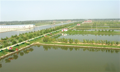 为全国探路,洪泽聚力推进“小水改”