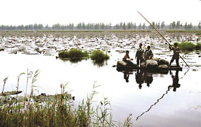 为全国探路,洪泽聚力推进“小水改”