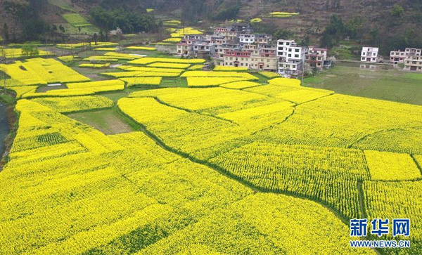 �Ͳ˻������۴�