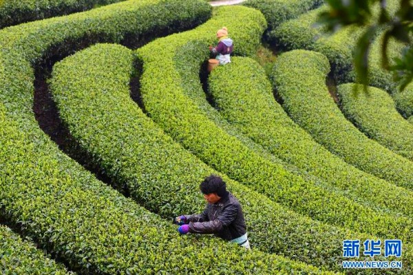 311գũڹذ˽ɽ԰ڲժ衣