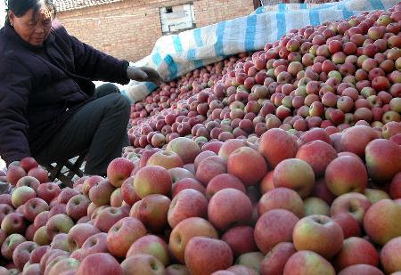 316գ䡰ȫƽ̨ ԳԡĹ߲12Сʱ۳3000ļѼ