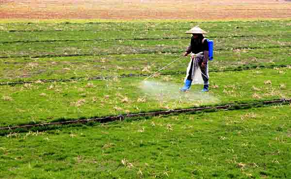 320գʡ׹绢ɽũʩϡ