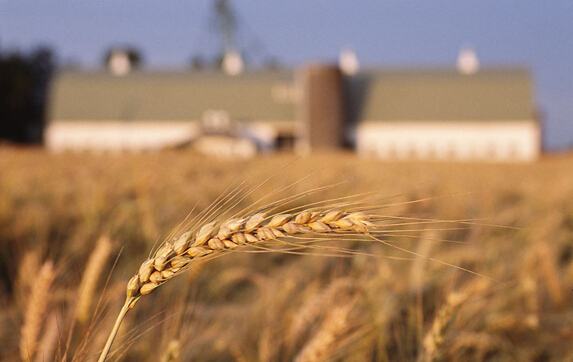 大气候农业AIRAG获2000万元天使投资 科技助力农业发展