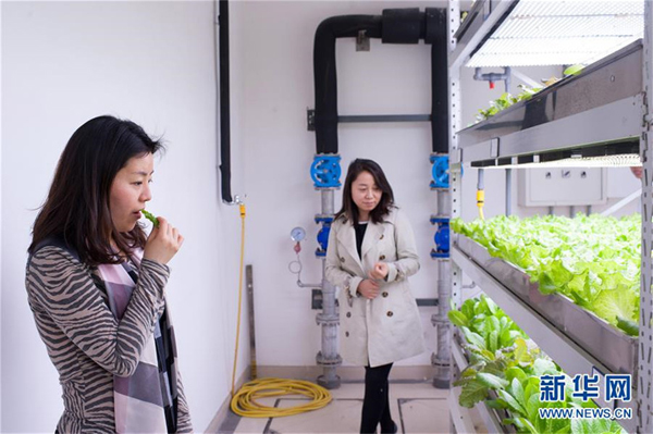 48գڸİιλڱCBDġֲ﹤