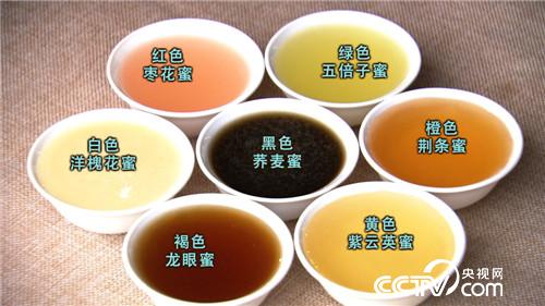 崔红旗:稀罕的蜂蜜 说赚就赚《致富经》