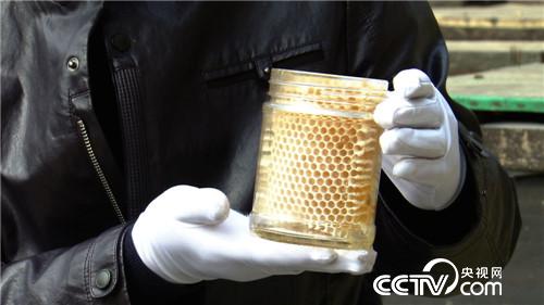 崔红旗:稀罕的蜂蜜 说赚就赚《致富经》