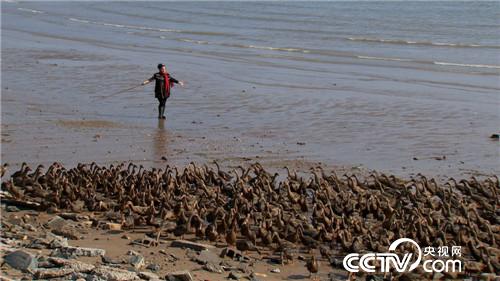 �κ��٣���������ϱ����Ѽ�º����¸�����