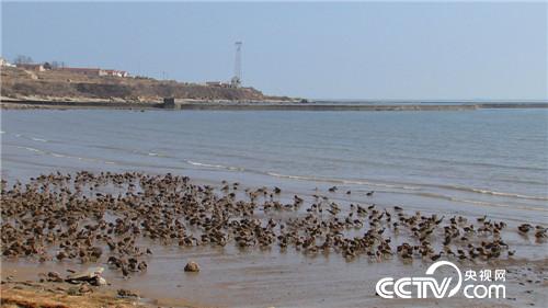 �κ��٣���������ϱ����Ѽ�º����¸�����