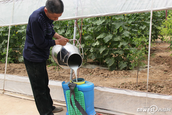 ũѭũҵֳ̻ƹϡ ũҩΪ0