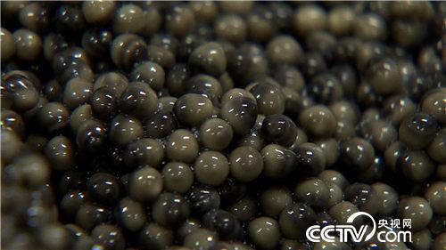 ￪죺ƿ ͳڻƽ𡱡¸