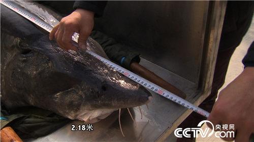 ￪죺ƿ ͳڻƽ𡱡¸