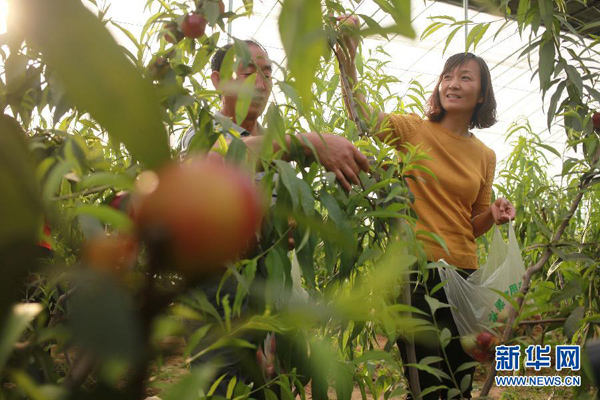 57գοɽӪĽֵũժҡ