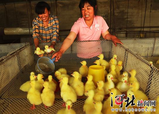 죬ũҵ5000ֻפù˾ϷƷ֡仨ɹգ콫ɻȫء