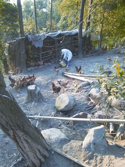 츢꣺ҶĿưࡰ˾