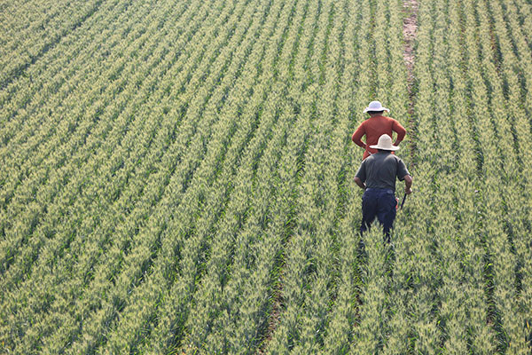 519գɽʡ¬ԡڳС