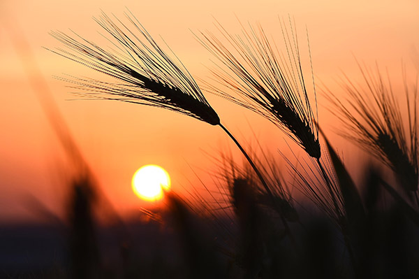 519գɽʡ¬ԡڳС