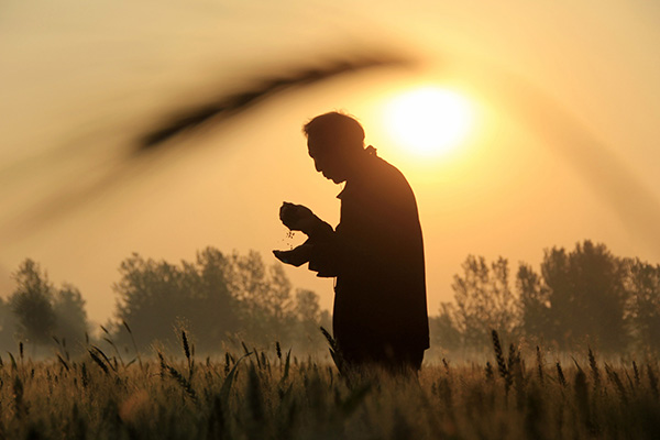 519գʡڻسǹ̴ũ鿴̶ȡ