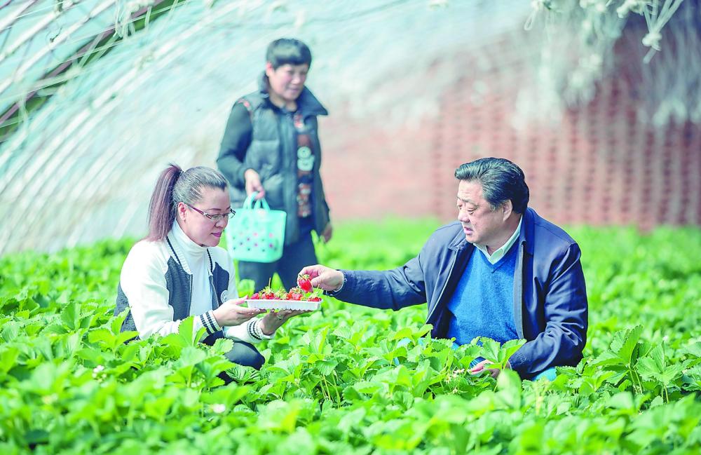 ڲݮֲʮĴ嵳֧Ǹ͢()ժݮοͽ̸