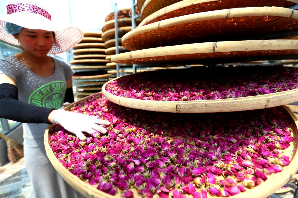 λɽīɽõС򡱲ҵ԰2600Ķ̬õѤţ硣