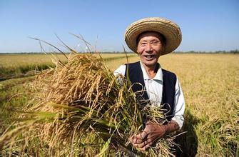 农村土地流转需要解决三个问题农村土地流转需要解决三个问题