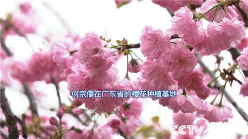 ӣ��֮�� �����з�׬������Ƹ�