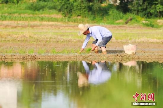 Ĳίˮɵũҵˮȵάɱˮƽ