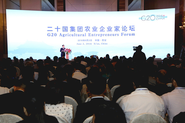   ƶũҵɳͶóסʮ׽ũҵҵ̳ɹٰ