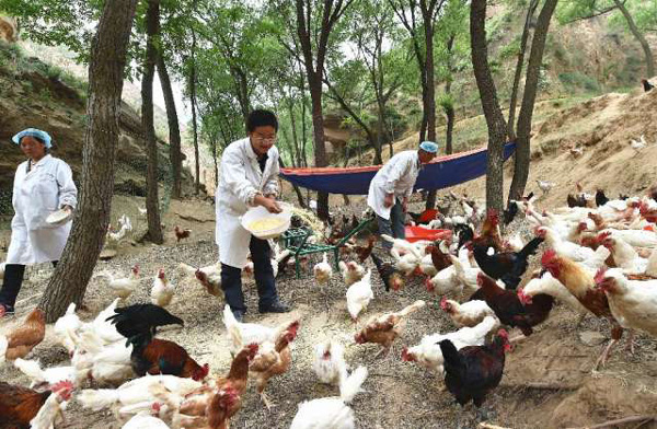 62գɽʡשߴѩ壨Уʹһɽɢļιϡ