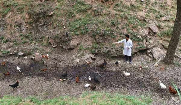 62գɽʡשߴѩɢļιϡ