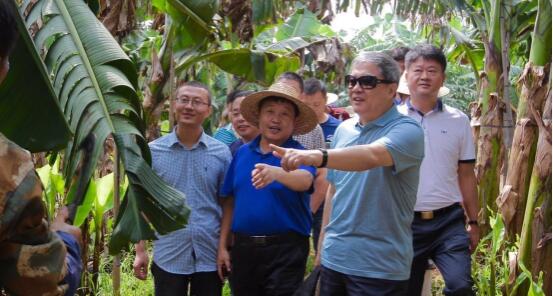 (йũƷͨеʵؿ컪ͨ㽶)