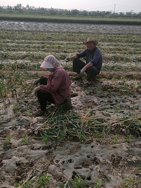 ɽ¥壬ѮũܴϲϰոԼҵĴ⡣