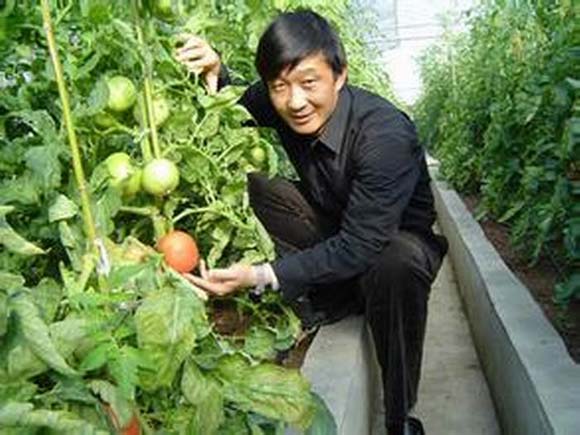 六安“金土地”执着的守护人陈全勇