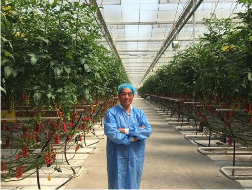 ۬ͥ񣺴Ӹ߰׶Ĥŷ̬