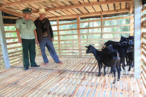 ͼΪ±߷ųٱΪĲзִƶҵ10ֻɽ