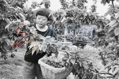 ȡӣҽ㡱ѧӣֲ һ600