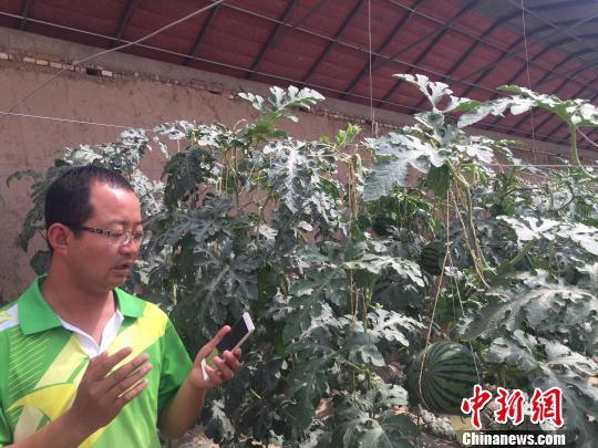 617գׯ弼ԱпֻٿҴָʵʱƿҴ¶ʪȣƹϵͳ