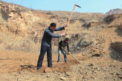 ڲ鿴ӣڿѻĵطչӣ