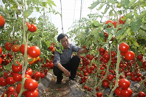 һλֲˣڸдйũҵʷ