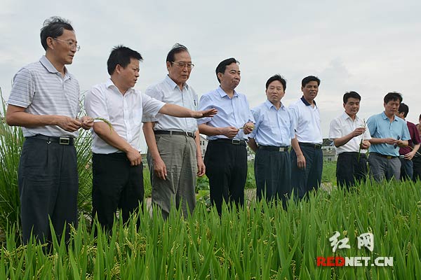 йԺԺʿٴƣһ쵼ںɽִʾ̻زιۿ