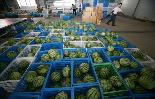 㽭ÿֻۼ200Ԫ ΪԹӦ