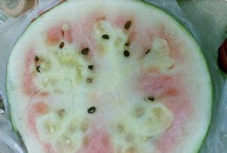 㽭ÿֻۼ200Ԫ ΪԹӦ