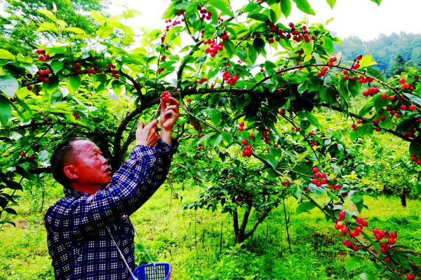 ڵ°ɽзչӣҲҵƶ¸