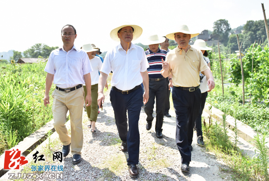 һ()̬ũҵ޹˾ͱ׼ũҵũҵʵص