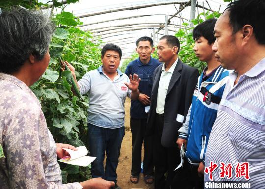 ϲм˴ҵɡƹϴѹͬ¸