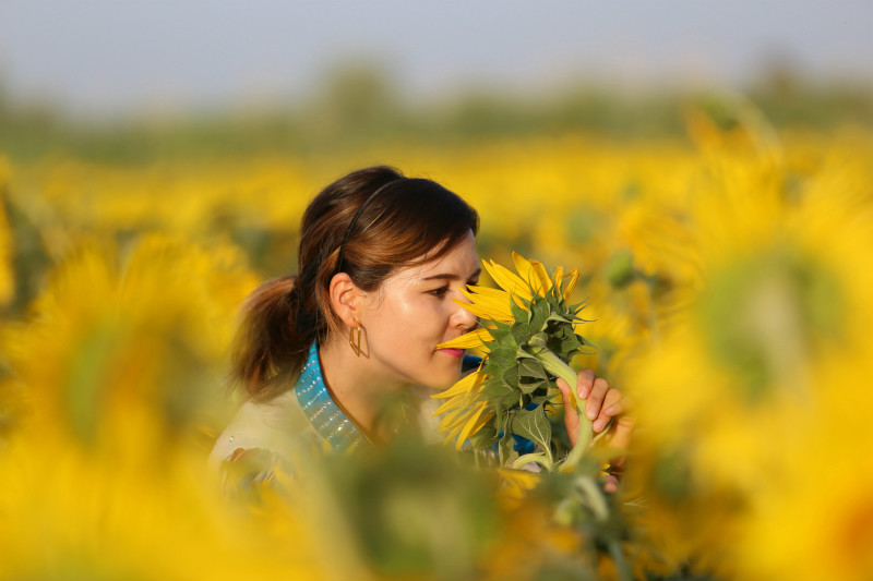 2016716գ⳵ľɿ700ĶͿţάϰ˹ڻΪơ